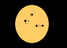 Spotted star