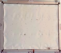 LDEF panel showing many small impacts
